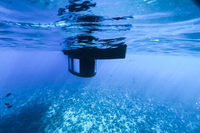 Private Underwater Excursion in the Bora Bora Lagoon - Weather and Cancellation Policy