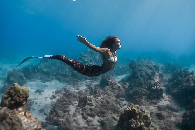 Private Underwater Photoshoot - Why Choose This Experience?