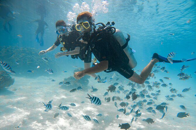 Private Underwater Scooter - Who Will Love This Tour?