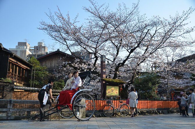 Private & Unique Kyoto Cherry Blossom "Sakura" Experience - What Makes This Tour Special?