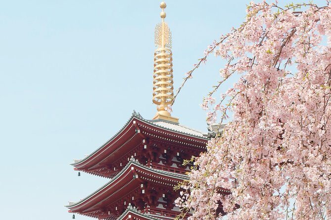 Private & Unique Kyoto Cherry Blossom "Sakura" Experience - Practical Details