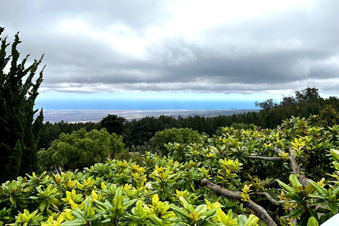 Private Upcountry Farm Tour on Maui - An In-Depth Look at the Tour Experience