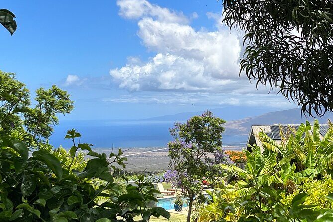 Private Upcountry Farm Tour on Maui - Final Thoughts