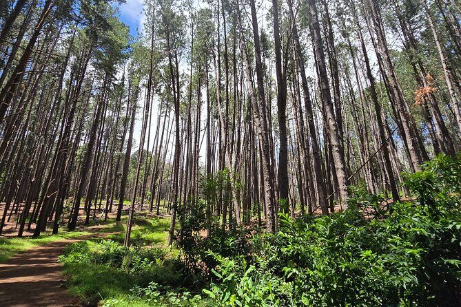 Private Upcountry Hiking Tour - Introduction