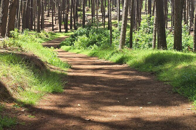 Private Upcountry Hiking Tour - A Closer Look at the Maui Upcountry Hiking Experience