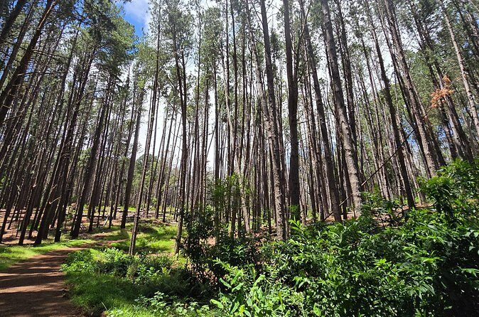 Private Upcountry Hiking Tour - The Sum Up