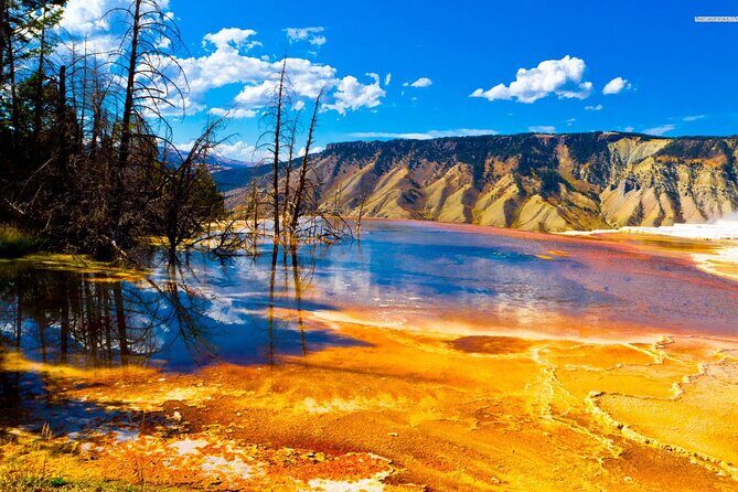 Private Upper Loop Tour of Yellowstone National Park - An In-Depth Look at the Experience