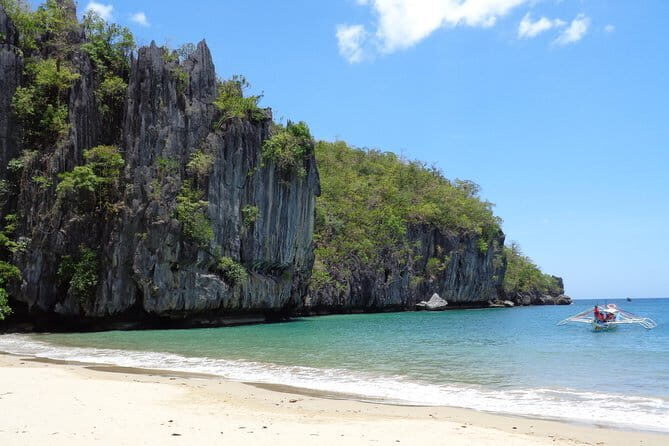 Private Van Rental in Puerto Princesa - Who Will Benefit Most?