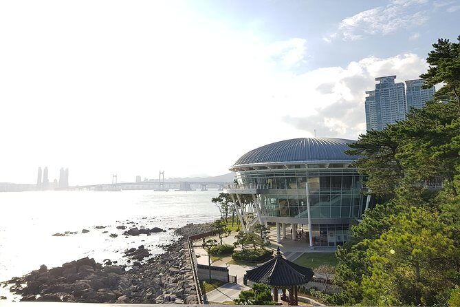 (Private Vehicle) Busan Tailored Tour: Curation for Food,Design,History,Culture - FAQ