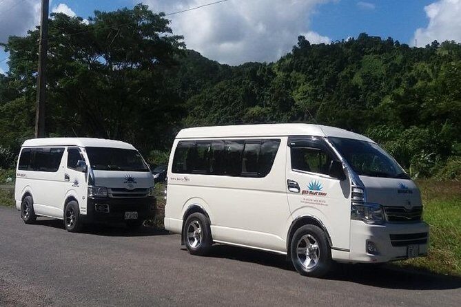 Private vehicle transfer Fiji Marriot Momi Bay to Nadi Airport - Key Points