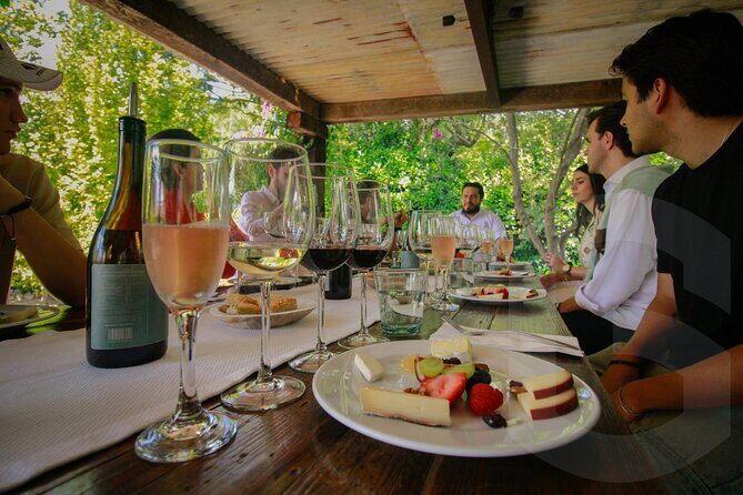 Private Vineyard and Wine Testing Tour From Guanajuato - Authentic Experiences and Practical Details