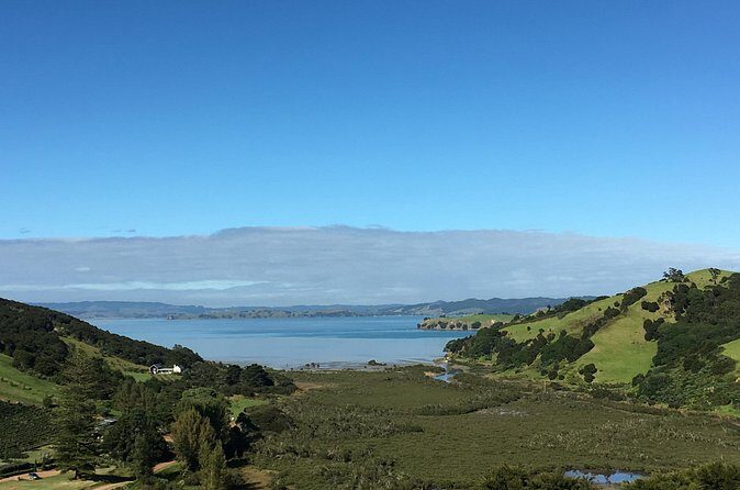 Private Vineyard Bush Walk Tour in Waiheke Island - Practical Details and Recommendations