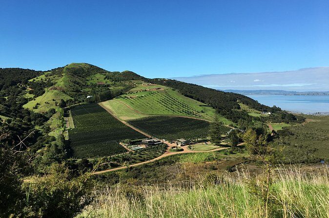Private Vineyard Bush Walk Tour in Waiheke Island - Final Thoughts