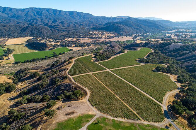 Private Vineyard Tour and Wine Tasting - Key Points