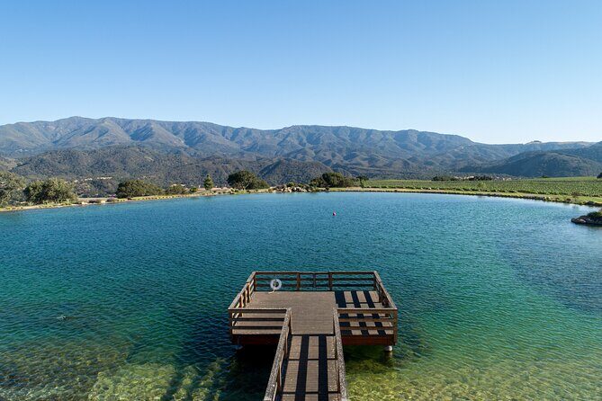 Private Vineyard Tour and Wine Tasting - The Wines and Tasting Experience