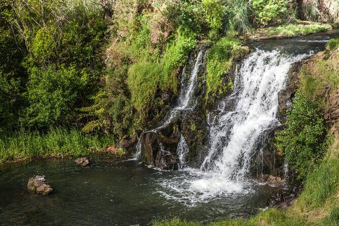 Private VIP Guided Auckland Waterfalls Tour - An In-Depth Look at What This Tour Offers
