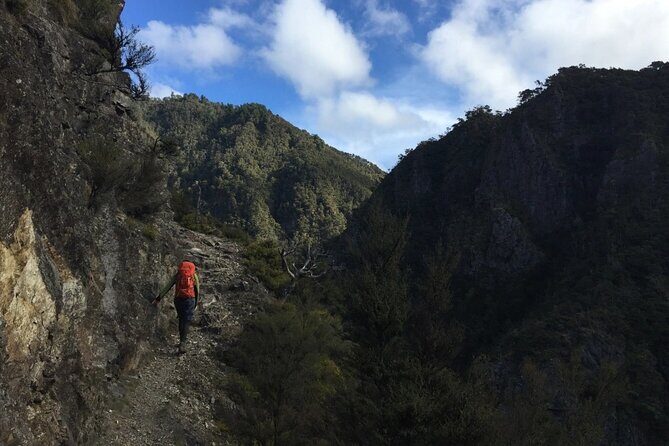 Private VIP Hawkes Bay Geothermal Hot Pools Hike - Who Is This Tour Best For?