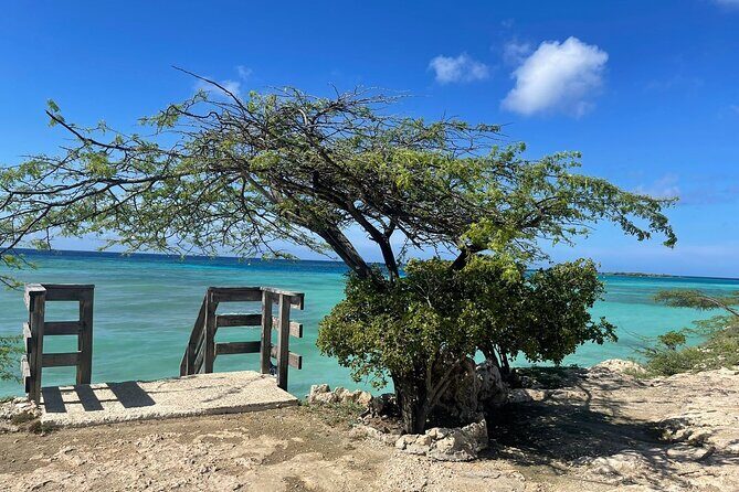 Private VIP Tours in Aruba - The Practical Side