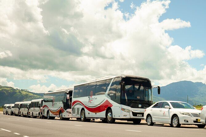 Private VIP Transfers - All Hotels to Nadi International Airport - Overview of the VIP Transfer Experience