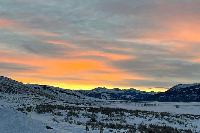 Private/VIP Wildlife Winter Safari of Yellowstone - Who Should Consider This Tour?