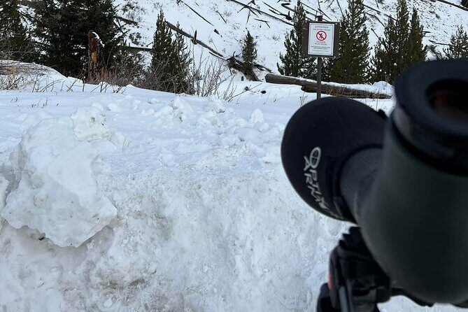 Private/VIP Wildlife Winter Safari of Yellowstone - FAQ