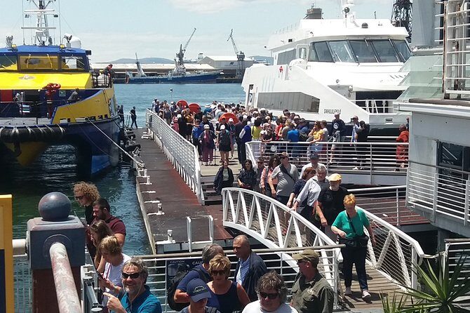 Private Visit to Robben Island Table Mountain + All Tickets F/d - Pricing and Value