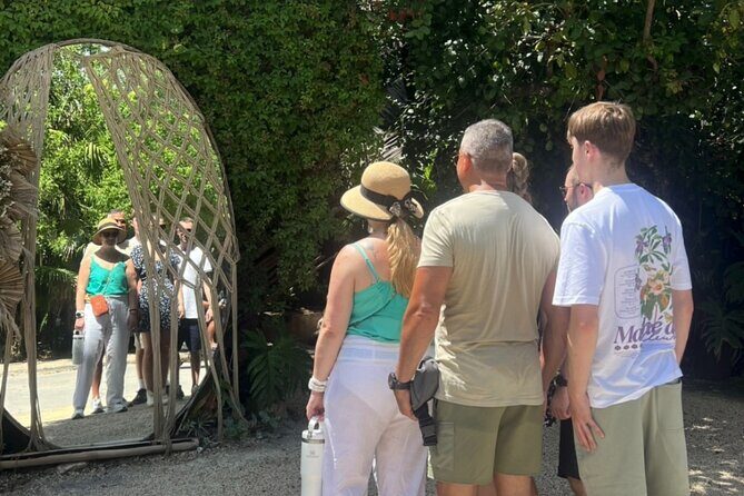 Private VW Beetle Tour Swim with Turtles, Visit Tulum Ruins&Town - An In-Depth Look at the Experience