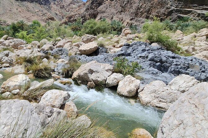 Private Wadi Arbyeen - Sinkhole - White Sand Beach- Full Day Tour - Final Thoughts: Is This Tour Worth It?