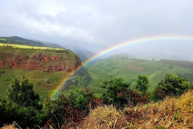 Private Waimea Canyon Tour - Why Choose This Tour?