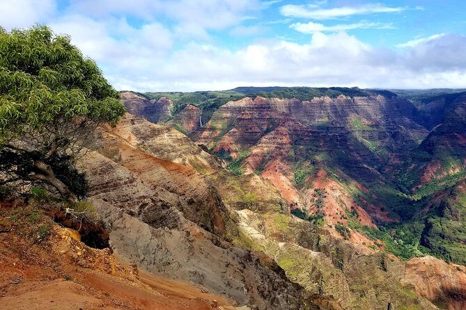 Private Waimea Canyon Tour - Authenticity and Trust