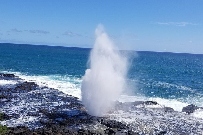 Private Waimea Canyon Tour - The Sum Up
