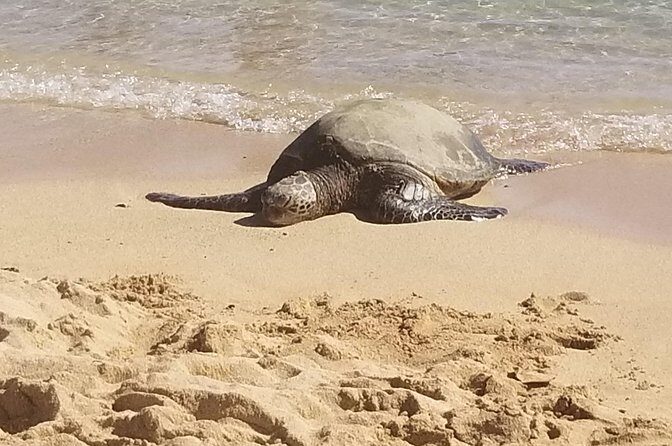 Private Waimea Canyon Tour - Final Thoughts