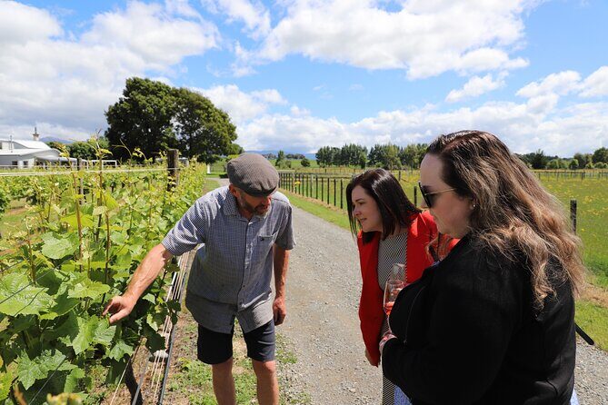 Private Wairarapa Wine Delights Tour from Wellington - The Value of This Tour