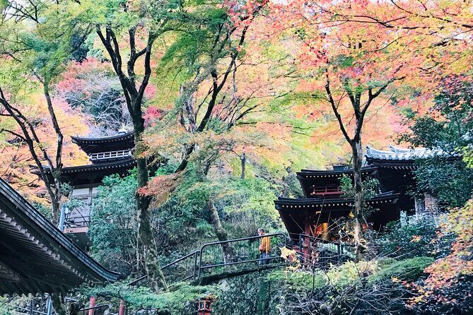 Private Walking Tour in Bamboo Forest & Hidden Spots in Arashiyama - A Practical Breakdown of the Itinerary
