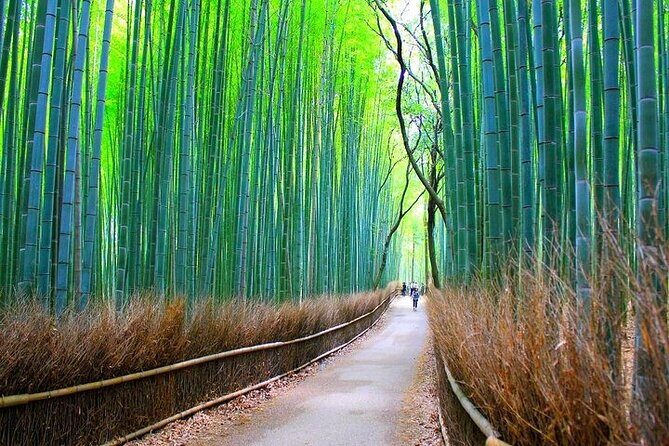 Private Walking Tour in Bamboo Forest & Hidden Spots in Arashiyama - The Sum Up