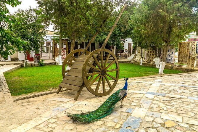 Private Walking Tour in Historical Bukhara - Final Thoughts