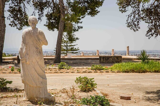 Private Walking Tour of Carthage Archaeological Site in Tunisia - Key Points