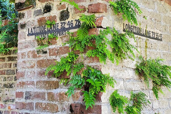Private Walking Tour of Historic Charleston - Key Points