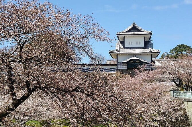 Private walking Tour of Kanazawa's Historical Districts 4h - Exploring Kanazawa’s Historic Districts