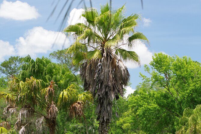 Private Walking Tour to St. John's Botanical Garden - Who Will Love This Tour?