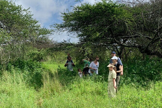 Private Walking Tour with Giraffes - An Honest Look at the Experience