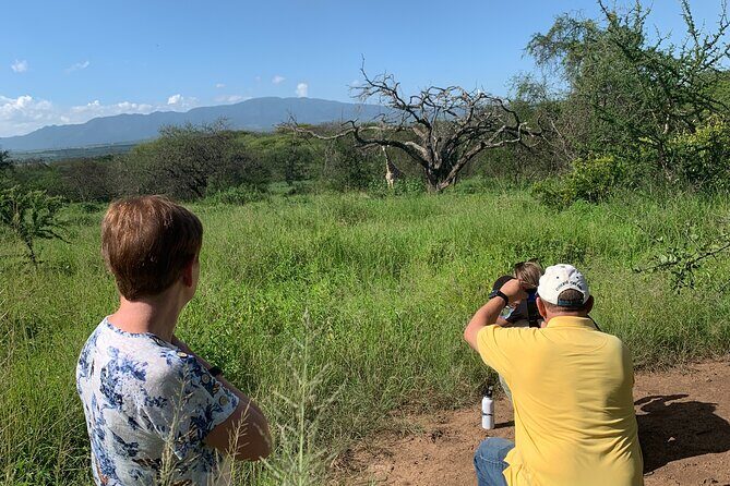 Private Walking Tour with Giraffes - Final Thoughts: Who Is This Tour Perfect For?
