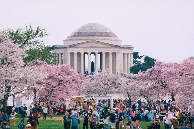 Private Washington DC City Tour - An In-Depth Look at the Tour Experience