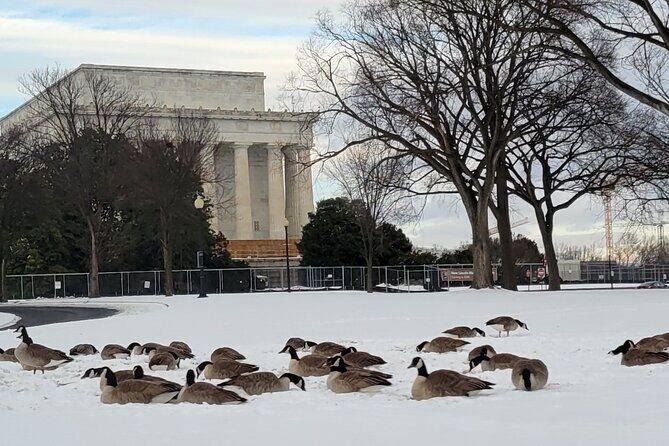 Private Washington DC Tour with Changing of the Guard Ceremony - Introduction: A Private, Personalized Look at D.C.