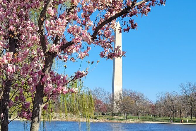 Private Washington DC Tour with Changing of the Guard Ceremony - Final Thoughts: Who Should Consider This Tour?