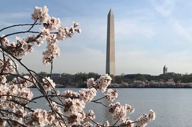 Private Washington Monuments Tour - The Itinerary: Why Every Stop Matters