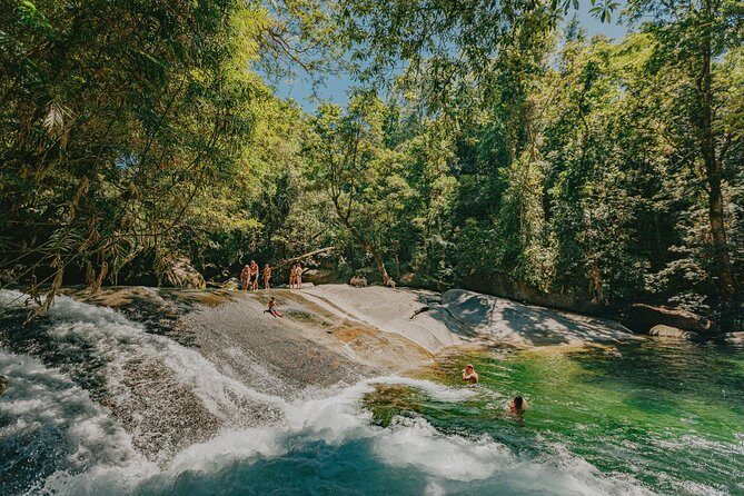 Private Waterfall and Rainforest Day Tour - Introduction: What to Expect from the Tour