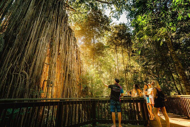 Private Waterfall and Rainforest Day Tour - The Tour’s Value: Breaking Down the Cost