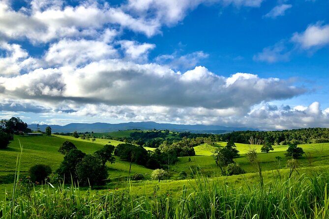 Private Waterfall and Rainforest Day Tour - Who Should Book This Tour?