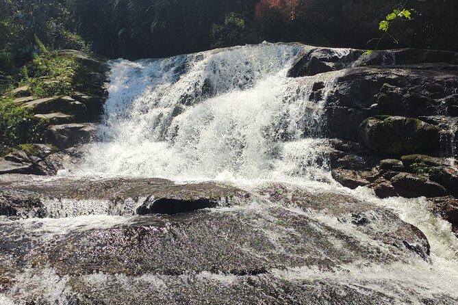 Private Waterfalls and Still Jeep 4x4 6hrs by Jango Paraty - Who Will Love This Tour?